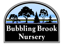 BUBBLING BROOK NURSERY